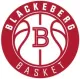 布莱克伯格 队徽