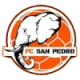 圣佩德罗FC 队徽